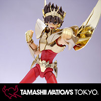 Column TAMASHII NATIONS TOKYO limited item, Pegasus Seiya (New Bronze Cloth) GOLDEN LIMITED EDITION Review!
