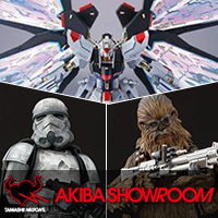 Special site [AKIBA showroom] "MINBAN · STORM TROOPER" "Chewbacca (SOLO)" addition exhibition!