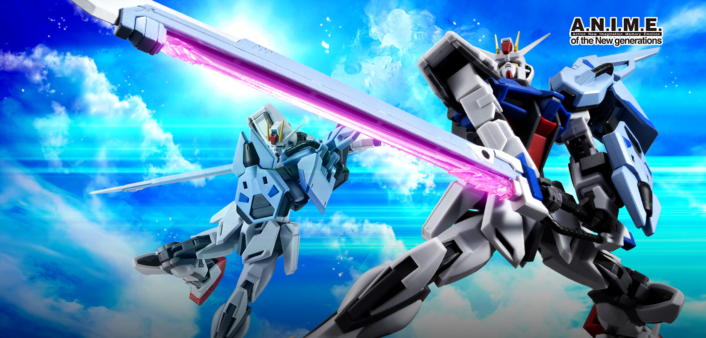 Mobile Suit Gundam Seed (Action) Figure ROBOT SPIRITS (Robot Tamashii) ROBOT SPIRITS＜SIDE MS＞ AQM/E-X02 SWORD STRIKER & Effect Parts Set ver. A.N.I.M.E.