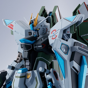 METAL ROBOT SPIRITS <SIDE MS> Freedom Gundam (Color tipo real)