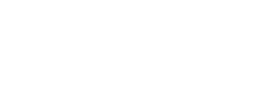 ROBOT 魂