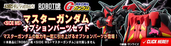 ROBOT SPIRITS <SIDE MS> Master Gundam option parts set